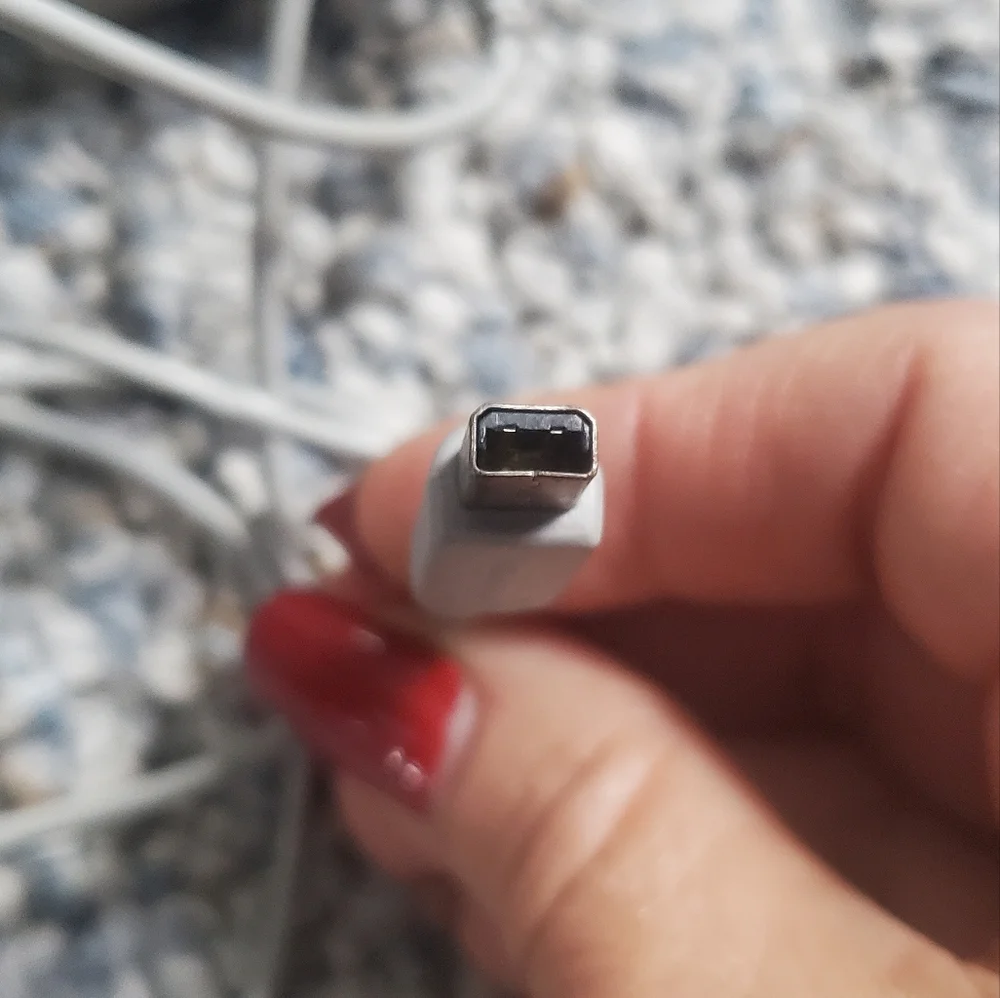 COPY - Nintendo Charger